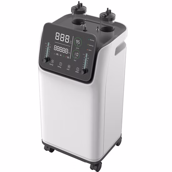 10-Liter-Sauerstoffkonzentrator mit Vernebler und Fernbedienung, 95 % Reinheit, 220 V/110 V, 50 Hz/60 Hz